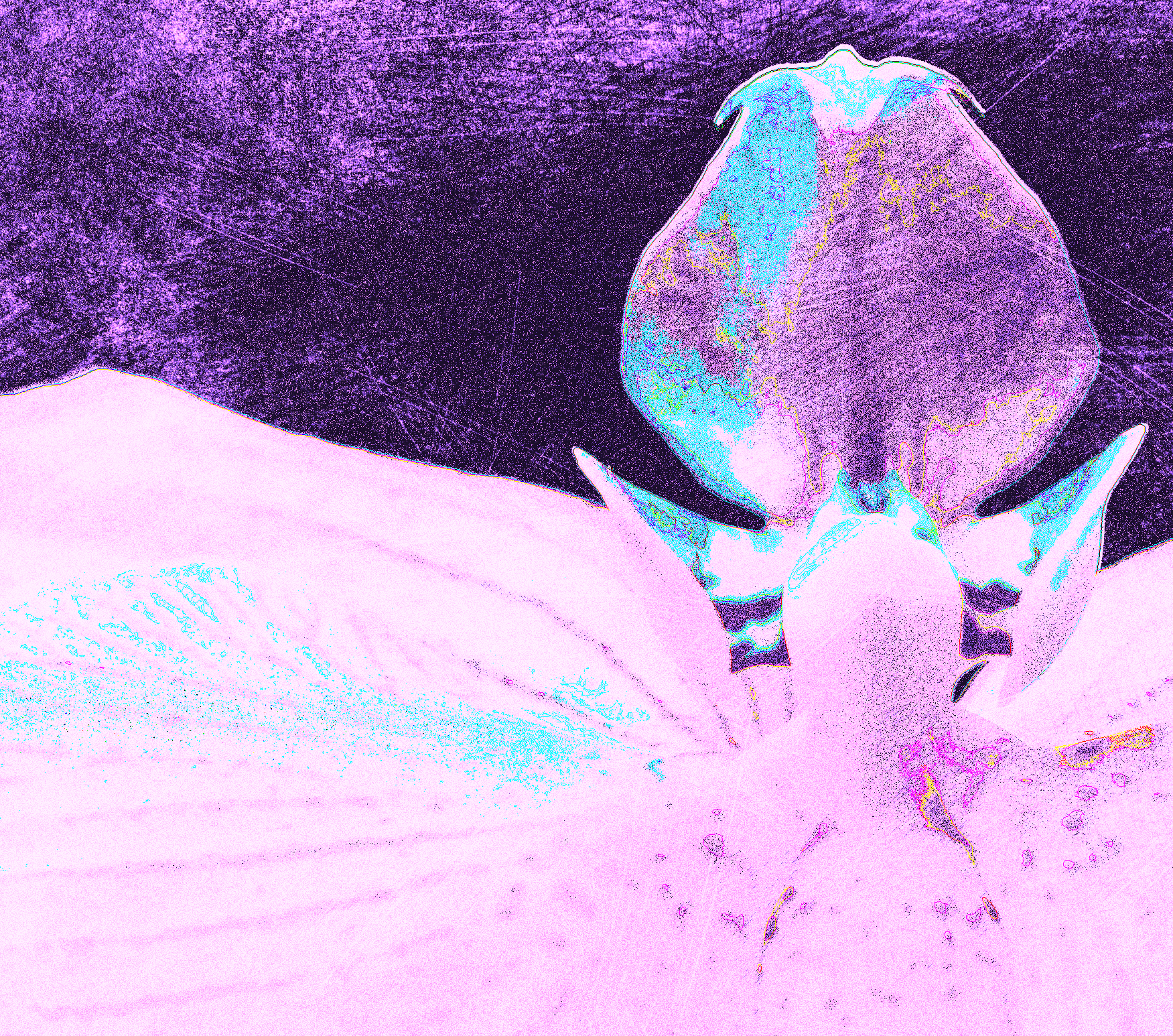 Orchid in artificial UVIVF